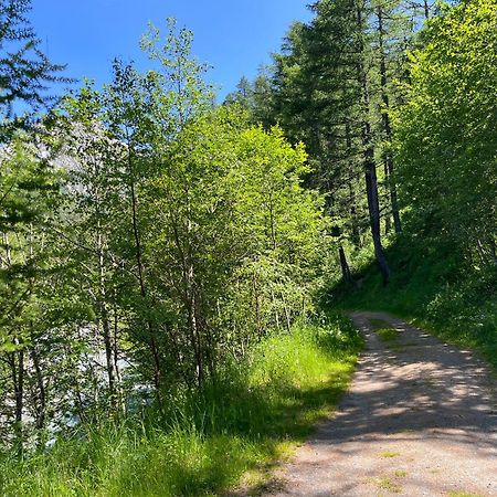 Appartement Butterfly Saas-Grund Dış mekan fotoğraf