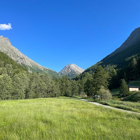 Appartement Butterfly Saas-Grund Dış mekan fotoğraf