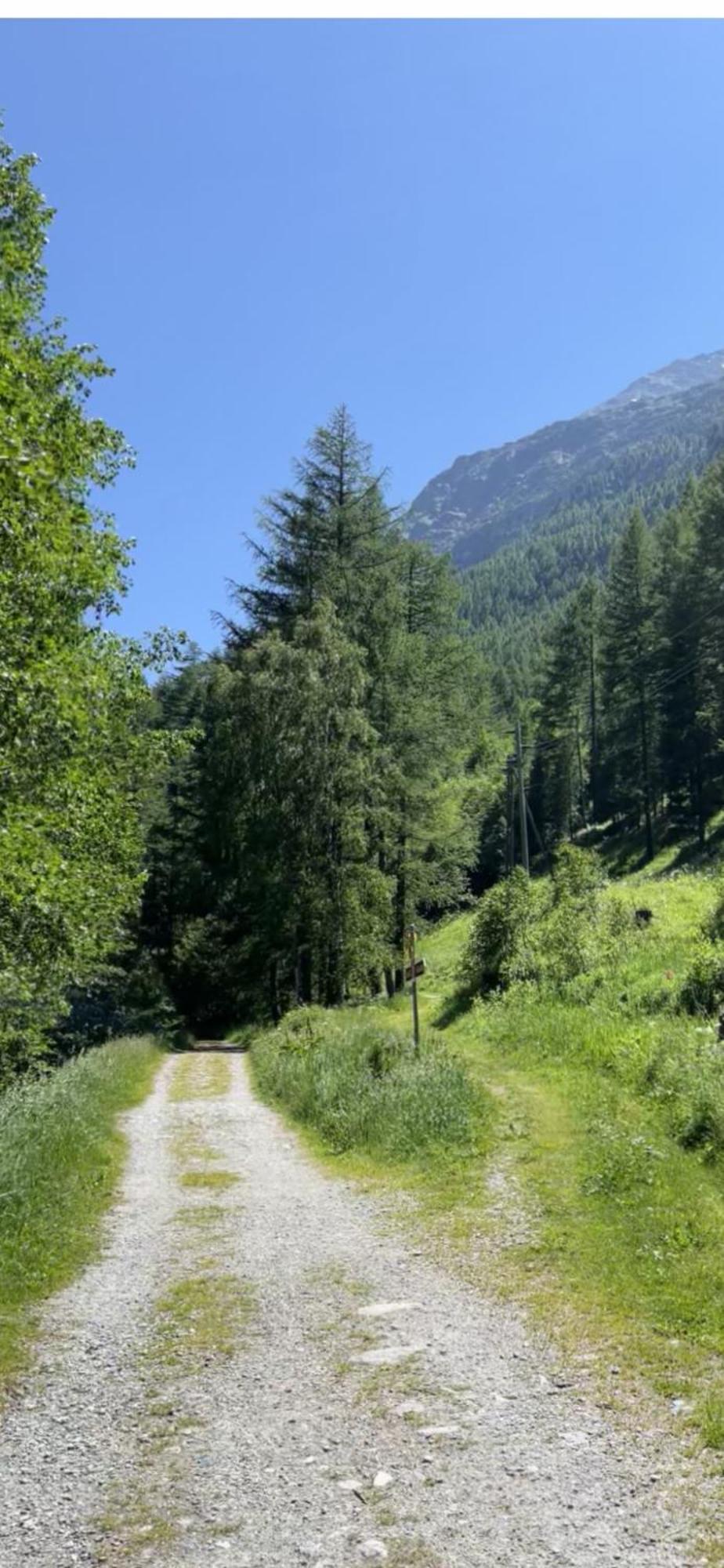 Appartement Butterfly Saas-Grund Dış mekan fotoğraf