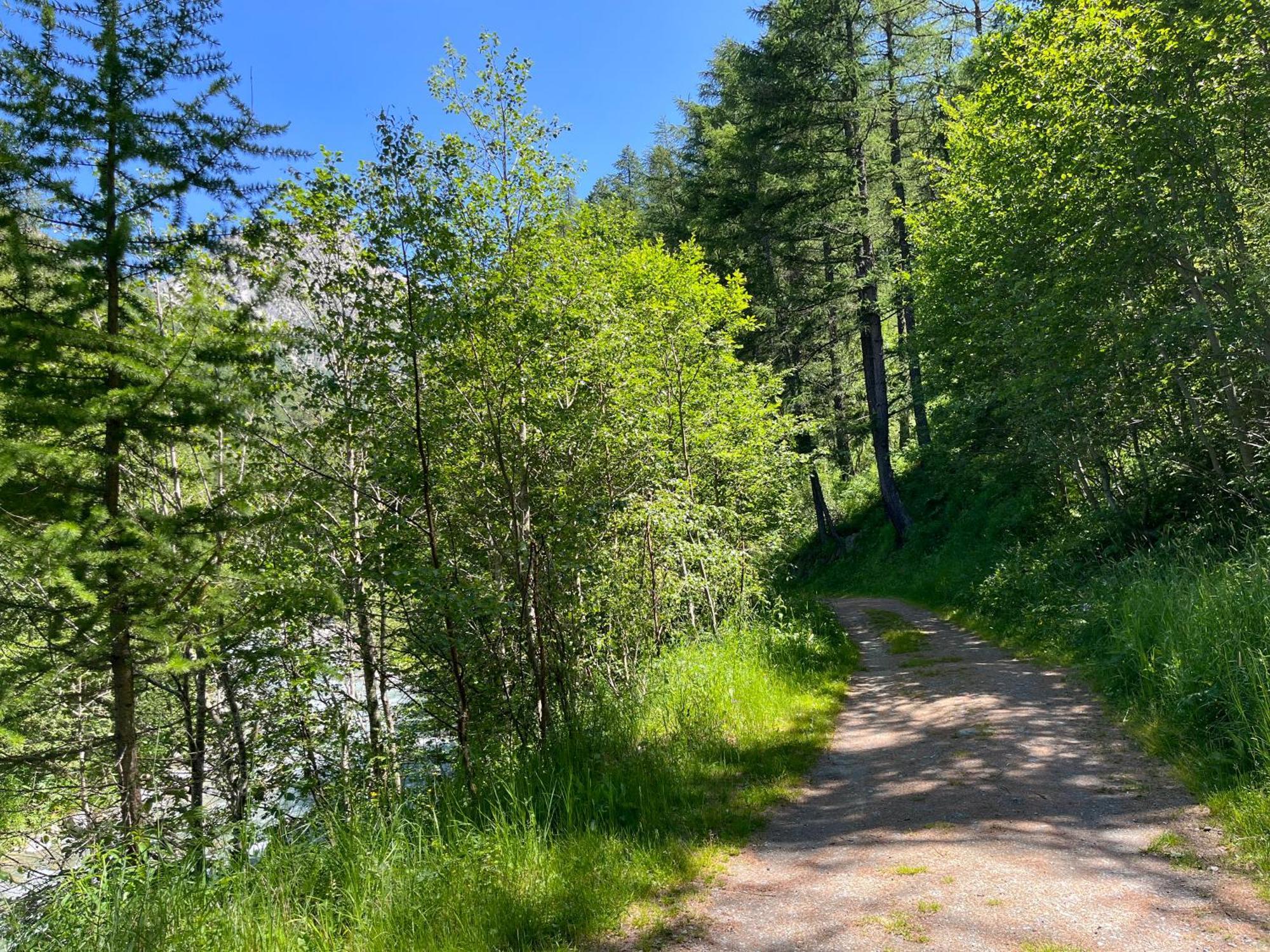 Appartement Butterfly Saas-Grund Dış mekan fotoğraf