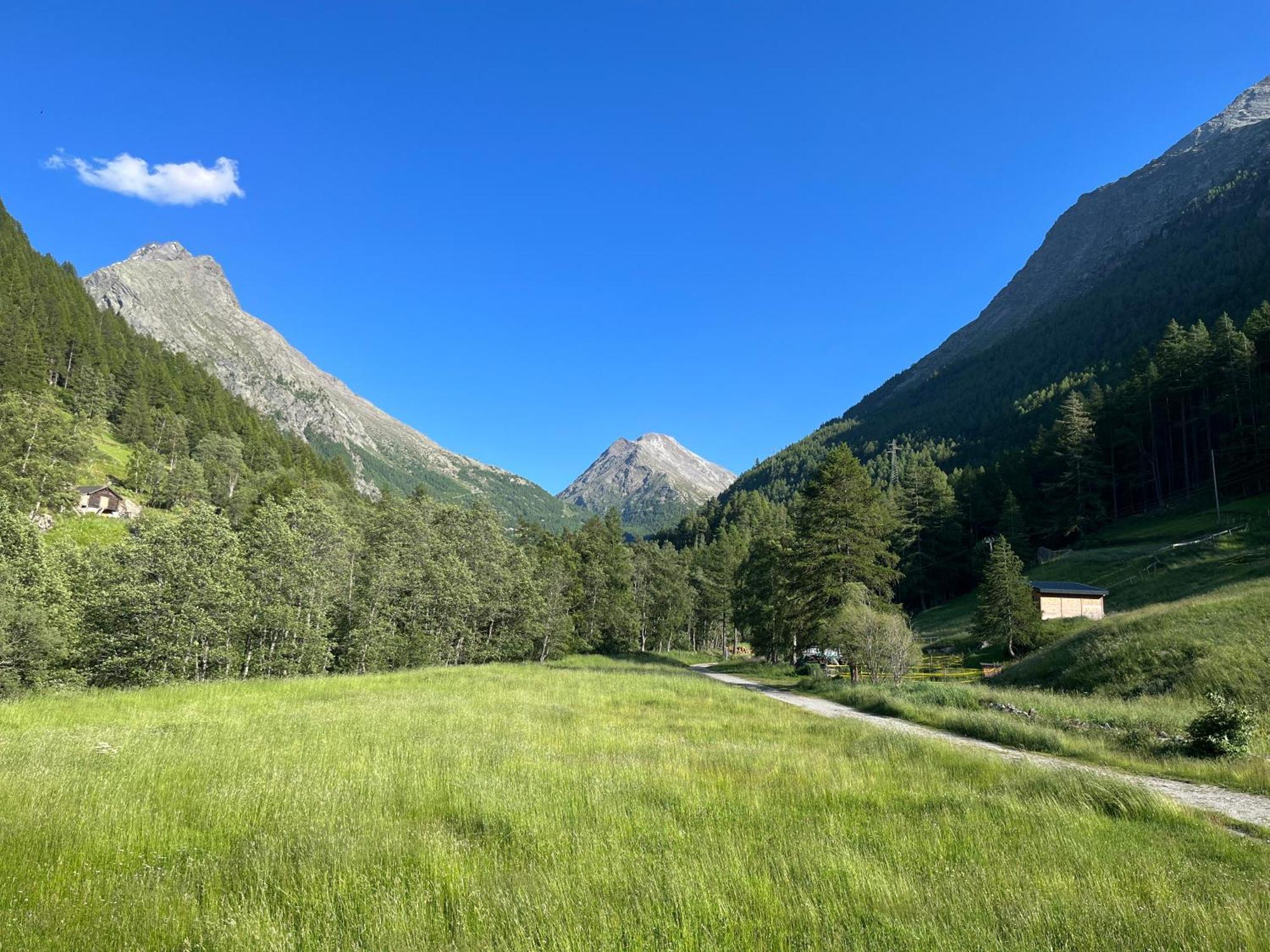 Appartement Butterfly Saas-Grund Dış mekan fotoğraf