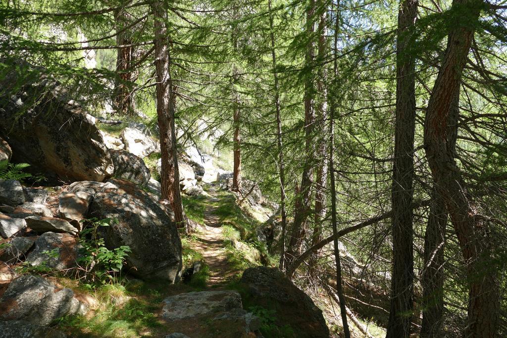 Appartement Butterfly Saas-Grund Dış mekan fotoğraf