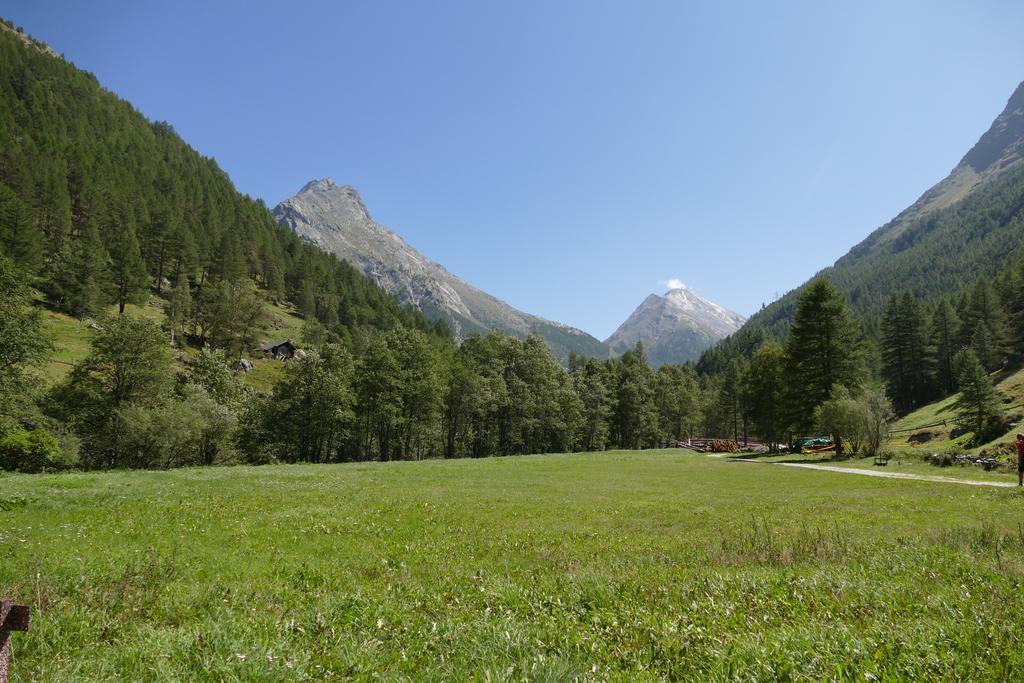 Appartement Butterfly Saas-Grund Dış mekan fotoğraf