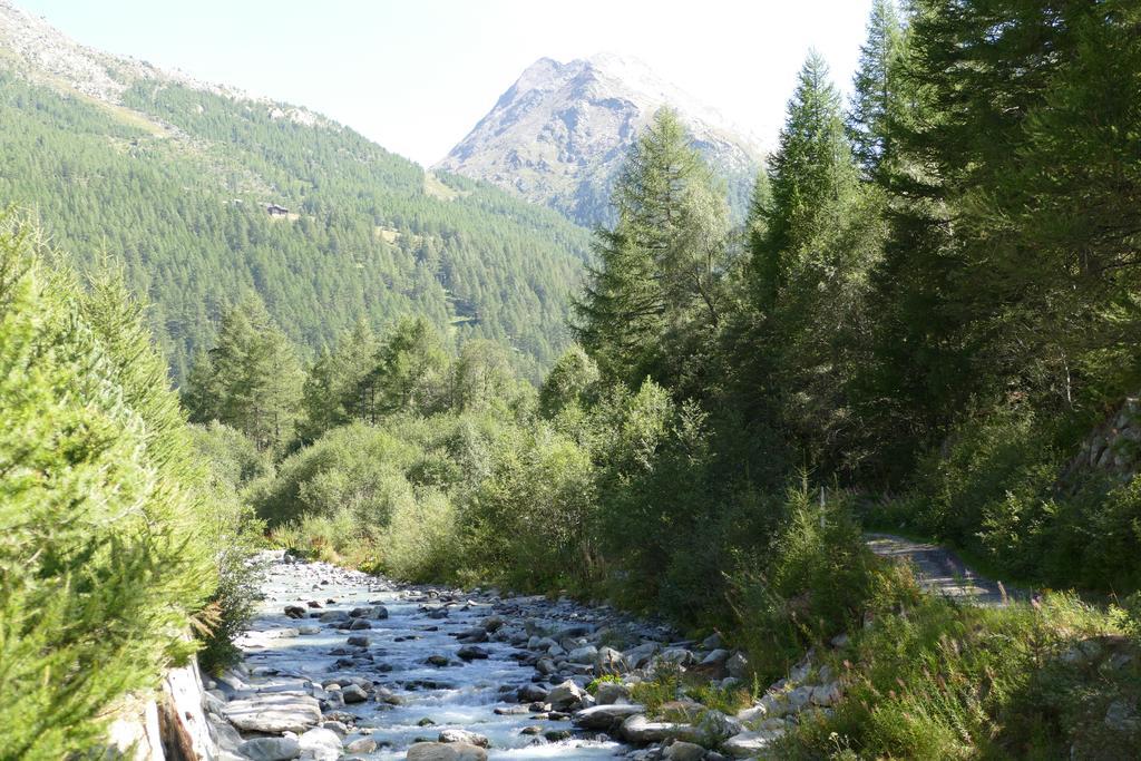 Appartement Butterfly Saas-Grund Dış mekan fotoğraf